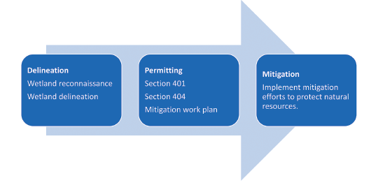 Workflow showing the permitting process: delineation (Wetland reconnaissance; Wetland delineation) is followed by permitting (Section 401; Section 404; Mitigation work plan) and ends with mitigation (Implement mitigation efforts to protect natural resources). 