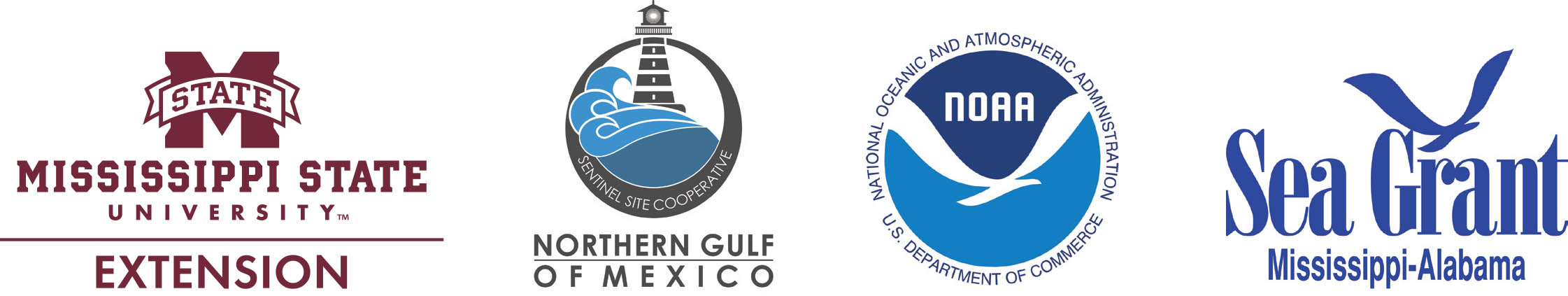 Logos: Mississippi State University Extension Service; Northern Gulf of Mexico Sentinel Site Cooperative; National Oceanic and Atmospheric Administration; Mississippi-Alabama Sea Grant.