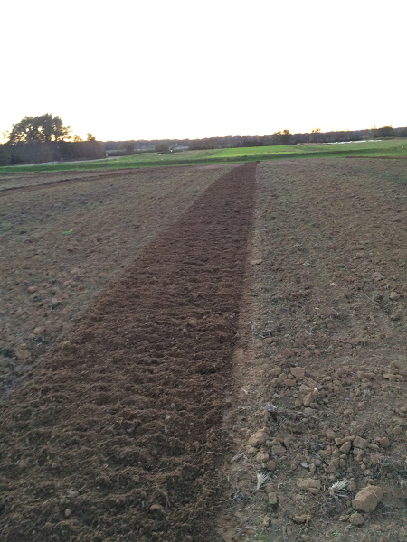 A wide open area of plowed dirt with one row that is slightly darker.