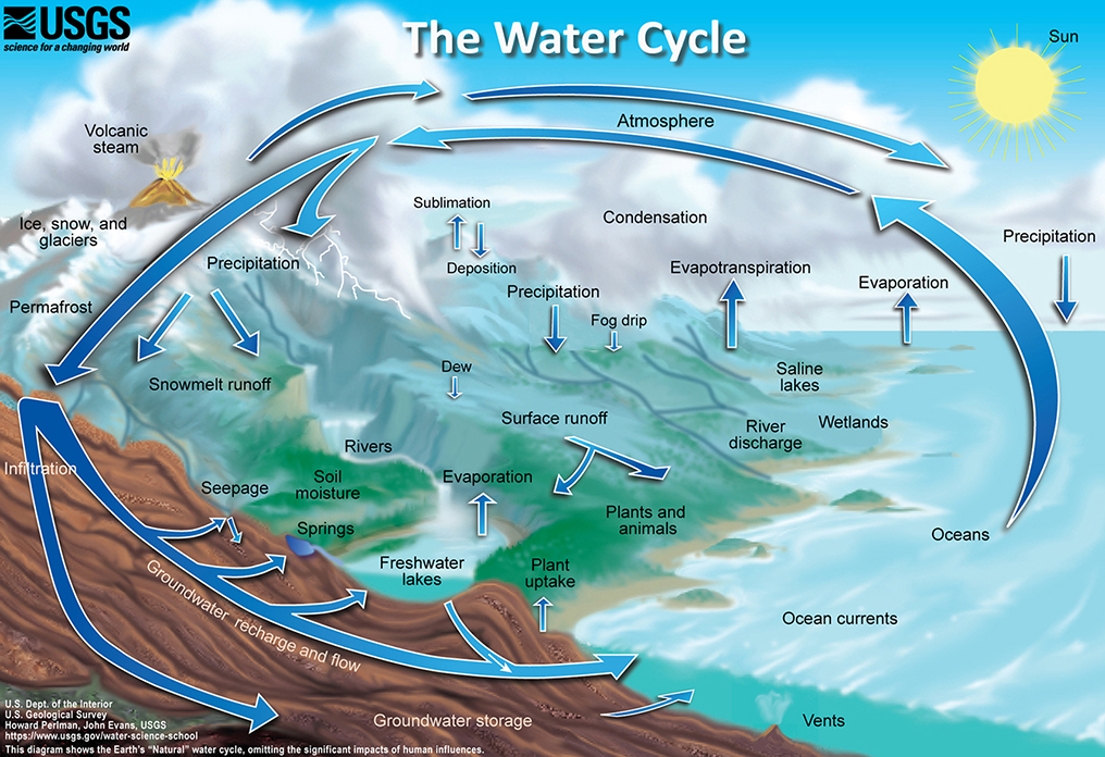 Detailed diagram of the water cycle.