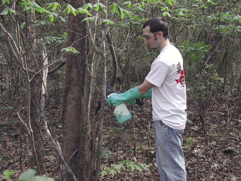 A man uses a hatchet to cut though a tree's bark and prepares to spray heribicide into the cut.