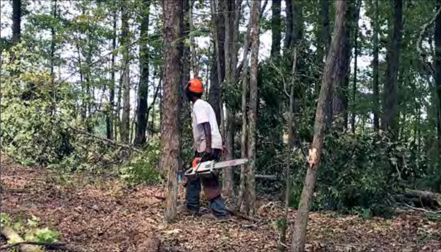 A man prepares to use a chainsaw to cut a tree.
