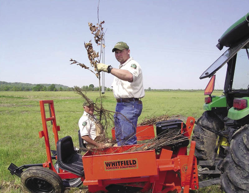 A person holding a small tree and standing on a piece of equipment in a field.