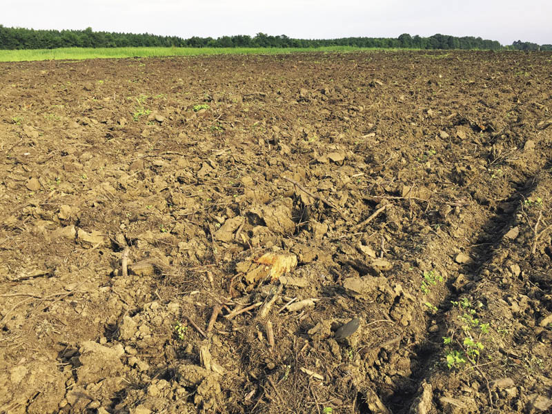 A field of brown earth that has been broken up.