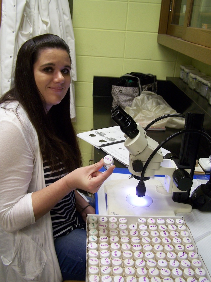 A young woman holding one of many mosquito samples.
