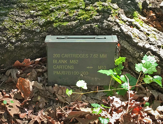 A metal box sitting in leaves in front of a large tree log on the ground.