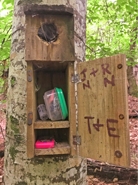 A wooden cabinet attached to a tree trunk.