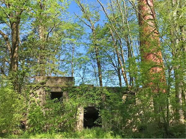A concrete building overgrown with trees and brush.