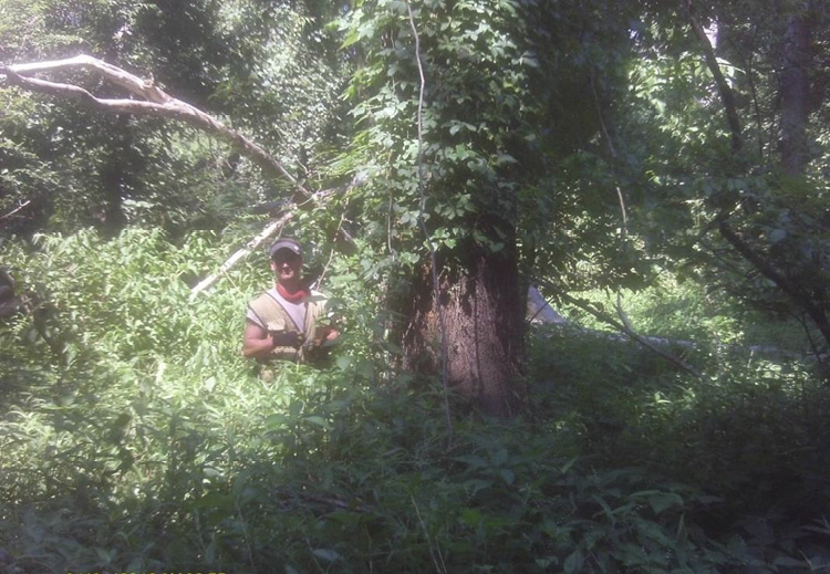 A person standing in chest-deep vegetation next to a large tree trunk.