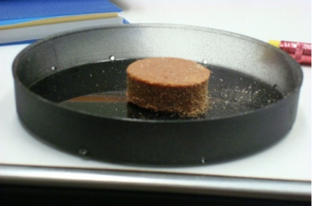 A black tray with a brown piece of food bait in its center. Many mites are on and around the bait.