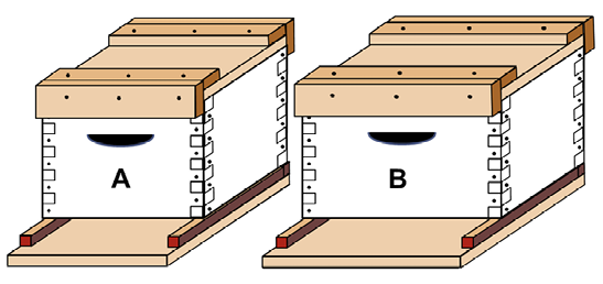 Diagram of two different sizes of hive boxes. One is narrower than the other.