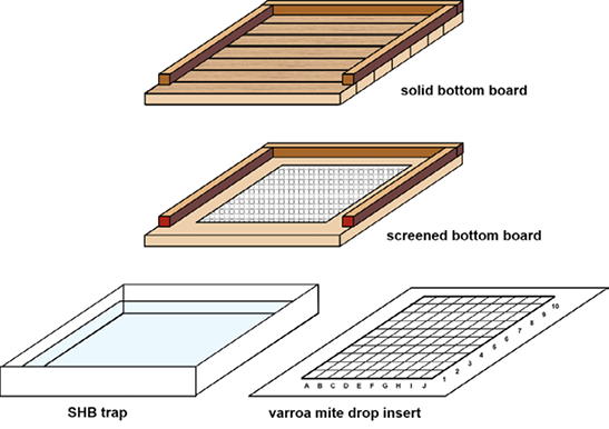 Diagram of a solid bottom board, a screened bottom board, an SHB trap, and a varroa mite drop insert.