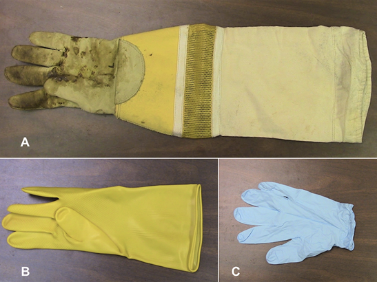 Three different types of gloves: one has a leather hand portion and a sleeve that covers the arm; one is a rubber kitchen glove; and one is a blue surgical-type glove.