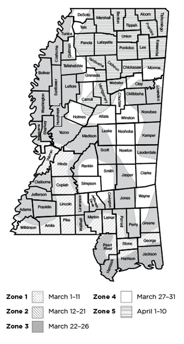 Mississippi map of median dates for last spring freeze. For a list of Mississippi towns and their median last spring freeze dates, visit https://www.plantmaps.com/interactive-mississippi-last-frost-date-map.php. Median last spring freeze dates are Zone 1: March 1–11; Zone 2: March 12–21; Zone 3: March 22–26; Zone 4: March 27–31; Zone 5: April 1–10.