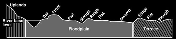 Variations in topography include uplands at the river base level; bar, front, flat, slough, ridge, flat, and swamp at the floodplain level; and ridge, flat, and slough at the terrace level. Refer to “Floodplain Topography” in the text.