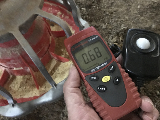 The same device in a person's hand near a broiler feed pan.