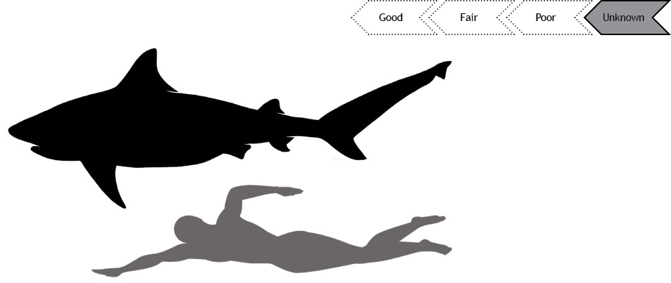 Current status of Blacktip shark population is good.