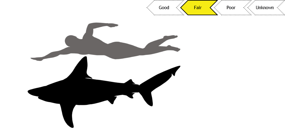 Current status of Sandbar shark population is fair.