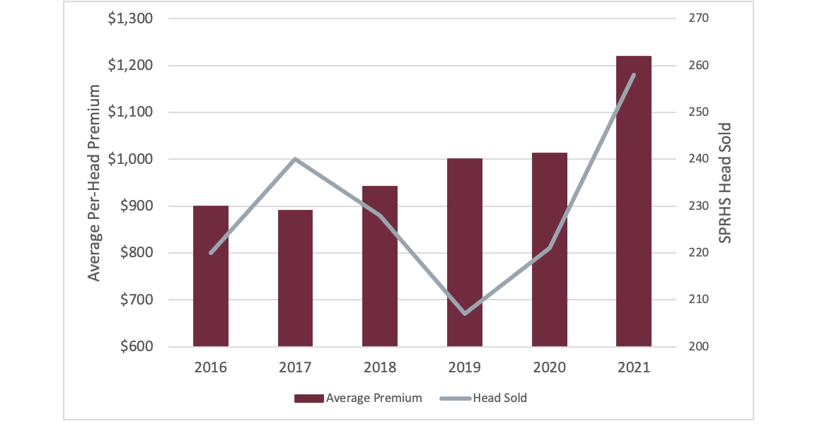 A bar chart outlines the SPRHS average premium compared to the amount of cattle sold.