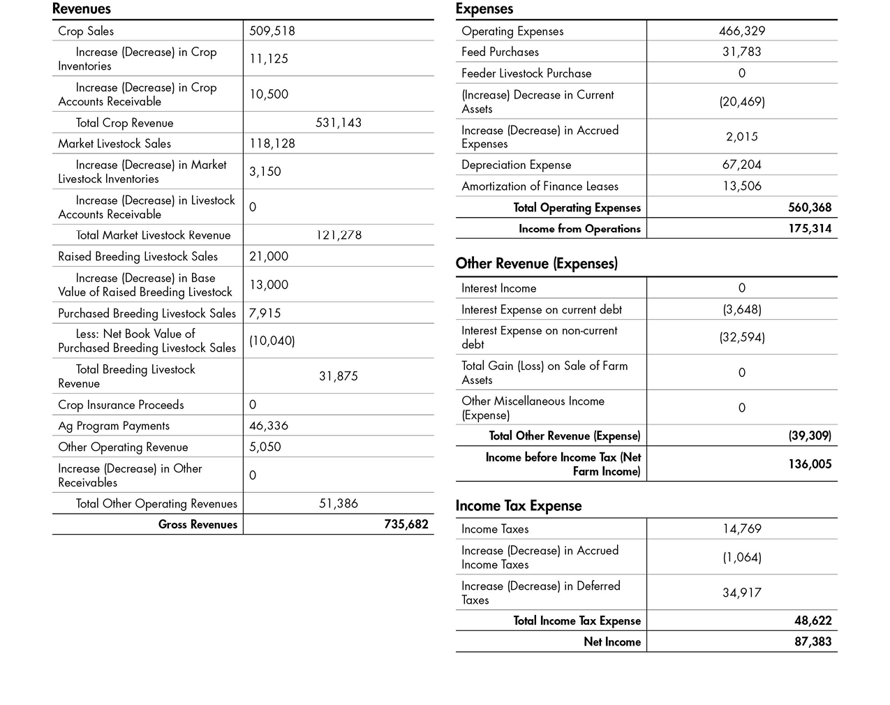 A sample income statement with figures and details for example revenue, expenses, and income tax expenses.