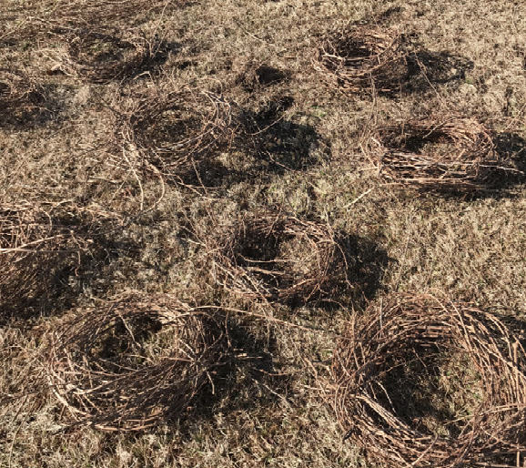 Making several foundations from grapevines is good practice and allows the designer to keep them on standby for future use. The grapevine foundations must be air dried indoors for about two weeks before use.