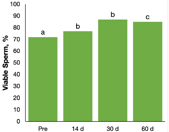 Bar graph indicating an overall increase in viable sperm in remaining testicle after unilateral orchiectomy.