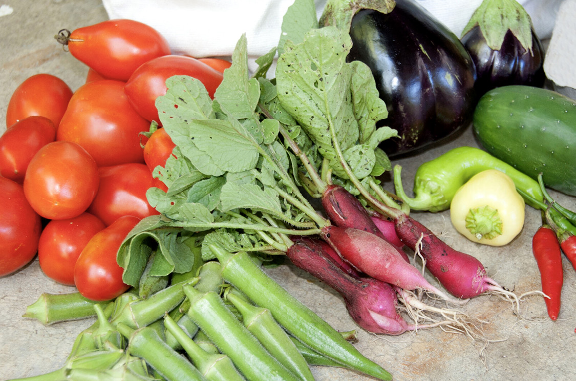 Garden-fresh tomatoes, okra, peppers, beets, eggplant, and cucumbers.