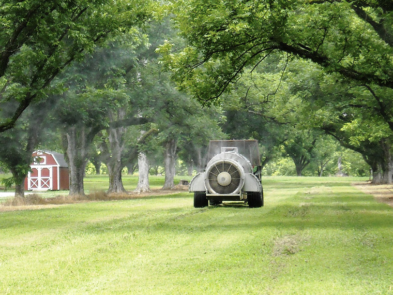 A truck with a large fan on its back sprays fungicide as it drives in an opening between rows of large pecan trees.