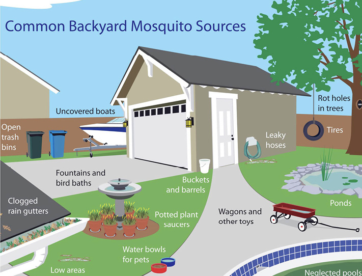 Diagram of common backyard mosquito sources. This includes: uncovered boats, open trash bins, fountains and bird baths, clogged rain gutters, low areas, water bowls for pets, potted plant saucers, buckets and barrels, wagons and other toys, leaky hoses, rot holes in trees, ponds, and neglected pools.