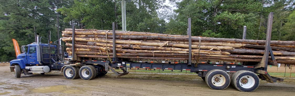 A truck loaded with logs sits in a parking lot.