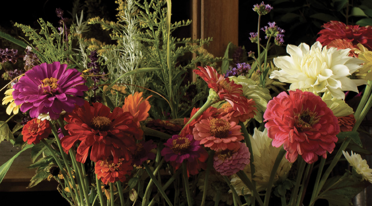 The Professional Florist's Manual for the Care and Handling of Fresh-Cut  Flowers and Foliage