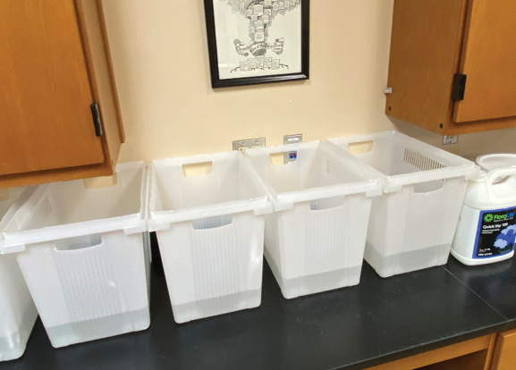 Plastic buckets lined up on a counter.