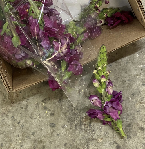 An open box that has fallen over with broken flowers on the floor.