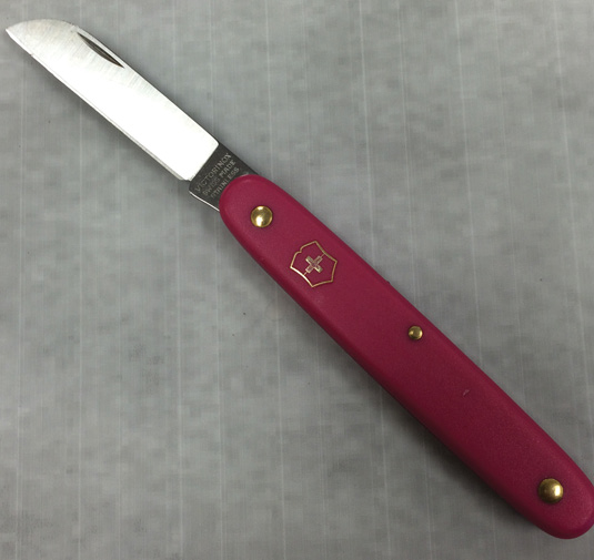 4 Swiss Floral Straight Knife Yellow Handle 