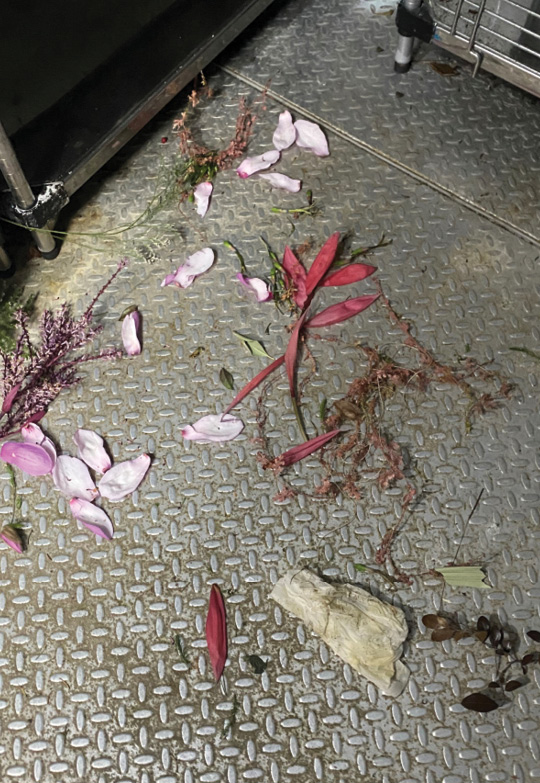 Flower and greenery debris on a floor.