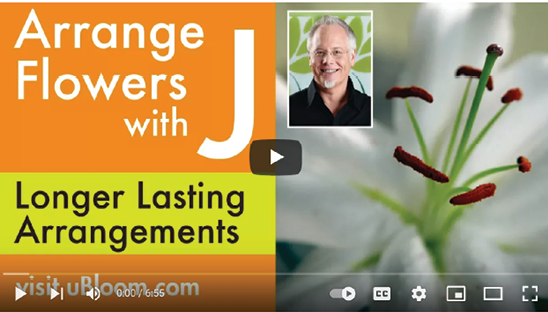 Screen capture from a video about making flower arrangements last longer.