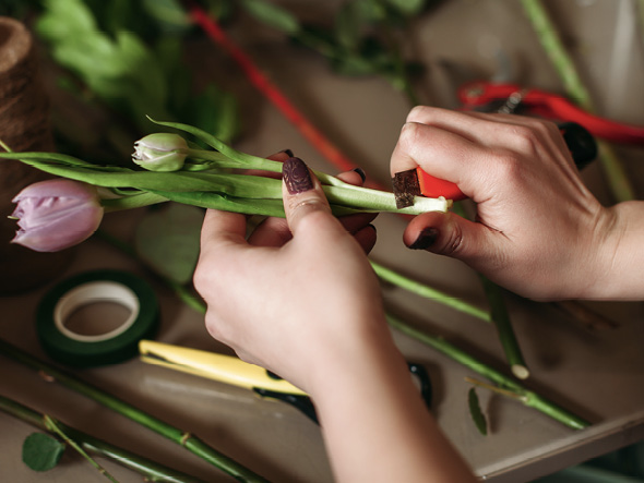 How to Cut Your Flower Stems Correctly - Salisbury Greenhouse - Blog
