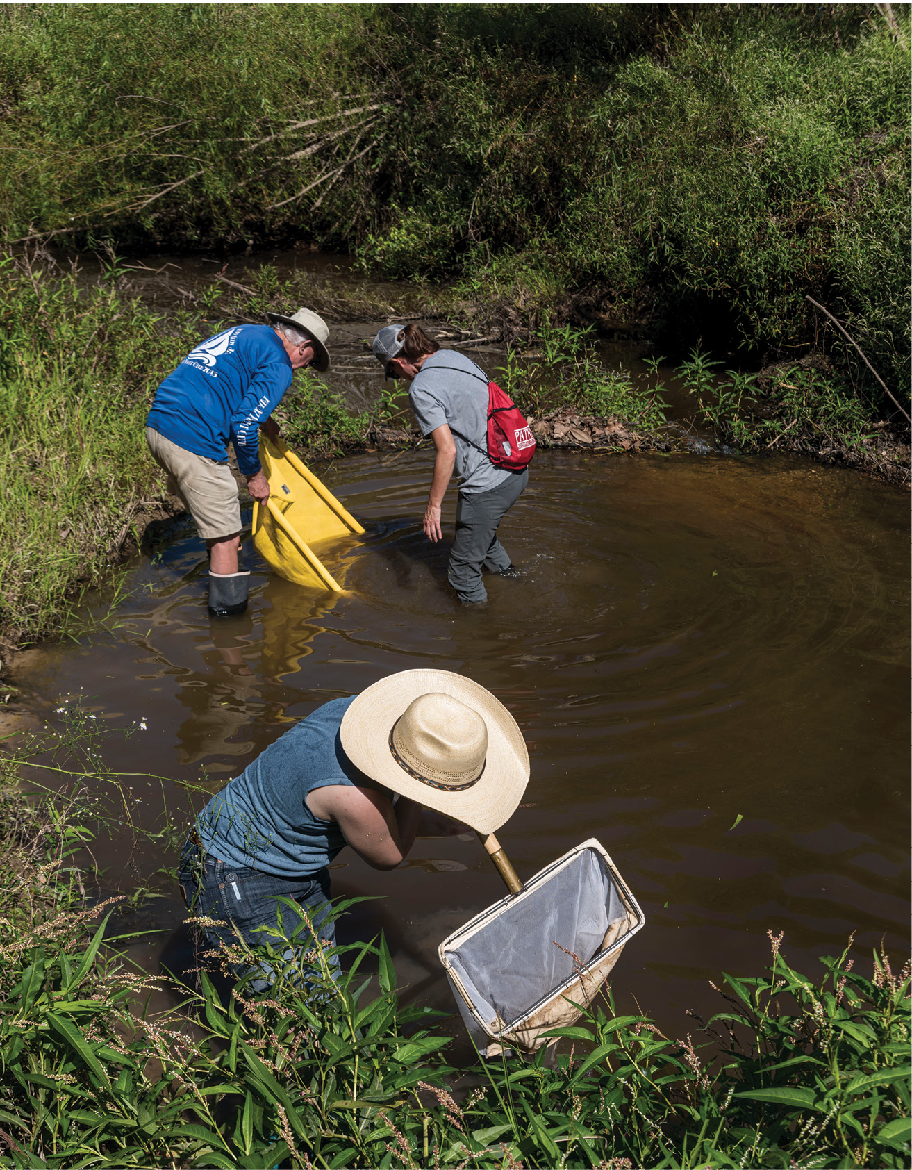 Mississippi Water Stewards conduct sampling in a small body of water.