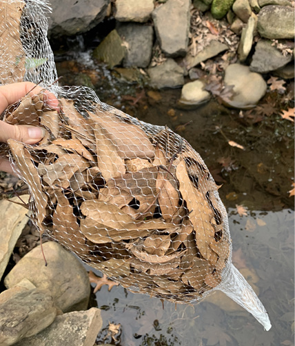 A net bag filled with brown leaves.