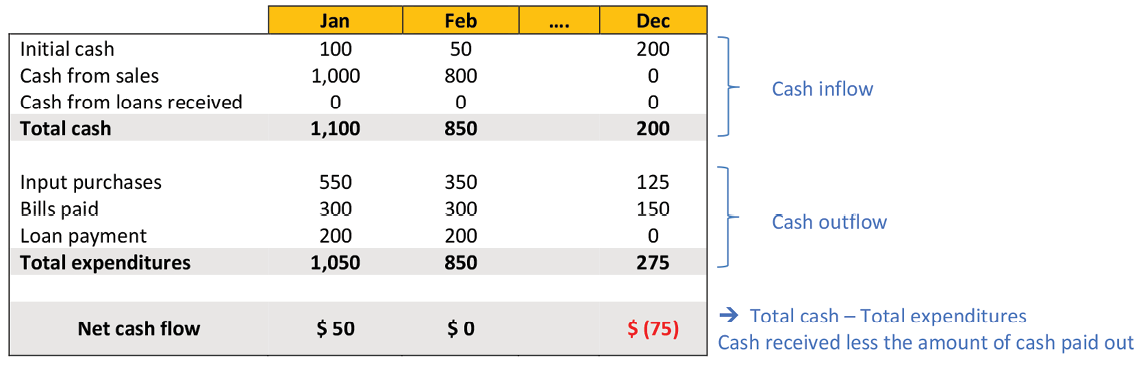 An example cash flow statement shows dollar amounts for January, February, and December in these categories: 1) total cash (initial cash, cash from sales, plus cash from loans received); 2) total expenditures (input purchases, bills paid, plus loan payments); and 3) net cash flow (total cash received minus total expenditures).