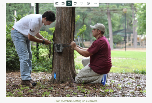 Two men affix a camouflage camera to a tree.