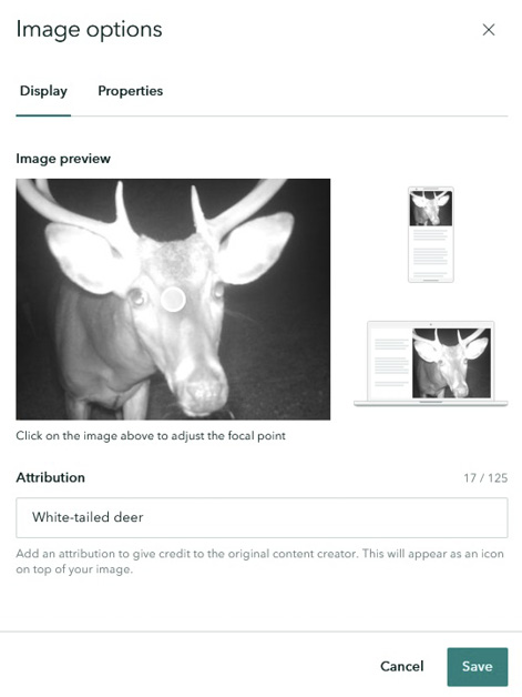Image option screen featuring a photo of a white-tailed deer. Cropping previews for smartphone and desktop are shown, and the attribution field reads “white-tailed deer."