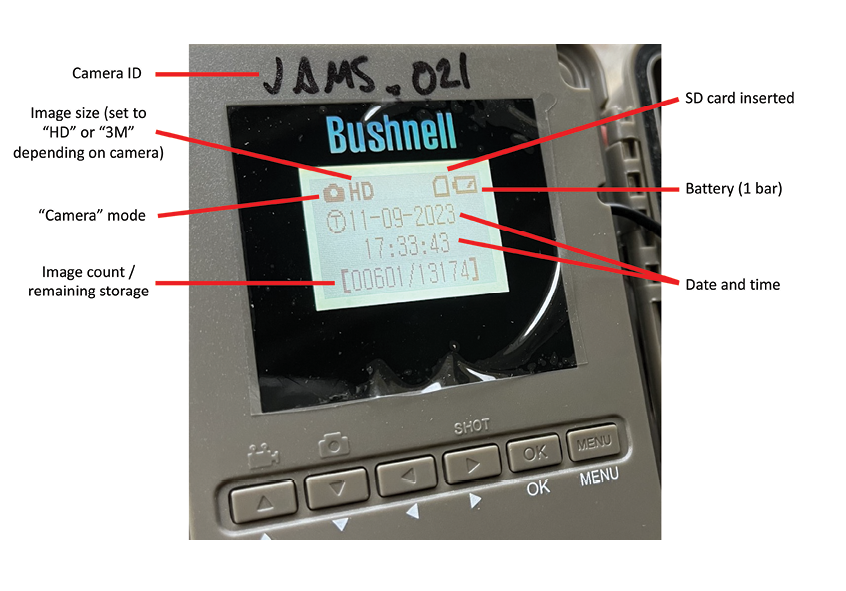 A closeup of a gray camera with the Bushnell logo in blue. The Camera ID “JAMS dot 021” is written above the display screen in black marker. The digital display screen shows the camera mode icon and HD for the image size. The battery icon indicates one bar, the date and time is November 9, 2023, and the time is 17:33:43. The image count/remaining storage is 00601/13174.