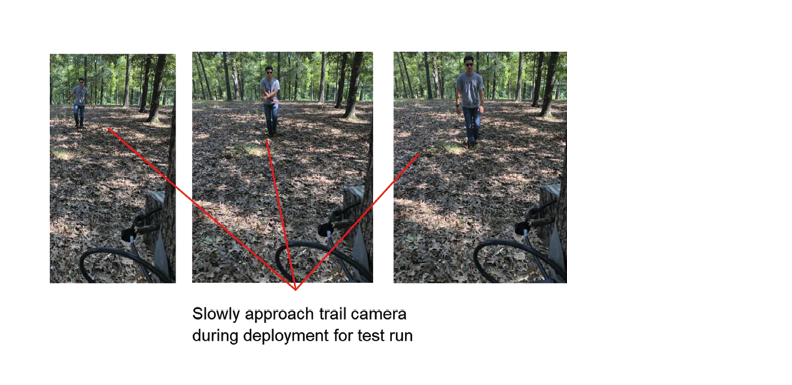 A person slowly walks closer to a trail camera in the forest.