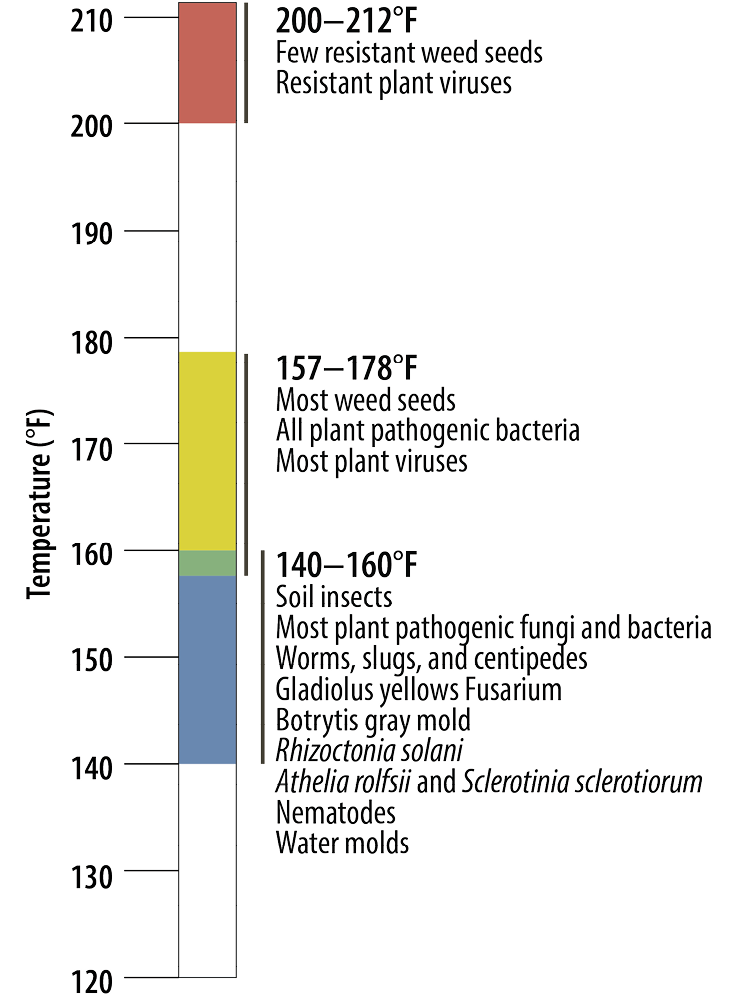 Pests controlled at different soil temperatures. 200–212°F: few resistant weed seeds; resistant plant viruses. 157–178°F: most weed seeds; all plant pathogenic bacteria; most plant viruses. 140–160°F: soil insects; most plant pathogenic fungi and bacteria; worms, slugs, and centipedes; gladiolus yellows Fusarium; Botrytis gray mold; Rhizoctonia solani; Athelia rolfsii and Sclerotinia sclerotiorum; nematodes; water molds.