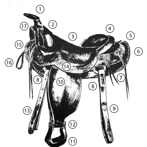 Diagram of a Western stock saddle. Parts are numbered and listed in text.