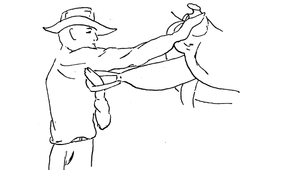 Diagram of a person with their right arm on the saddle and their left arm pulling the stirrup into their right armpit.