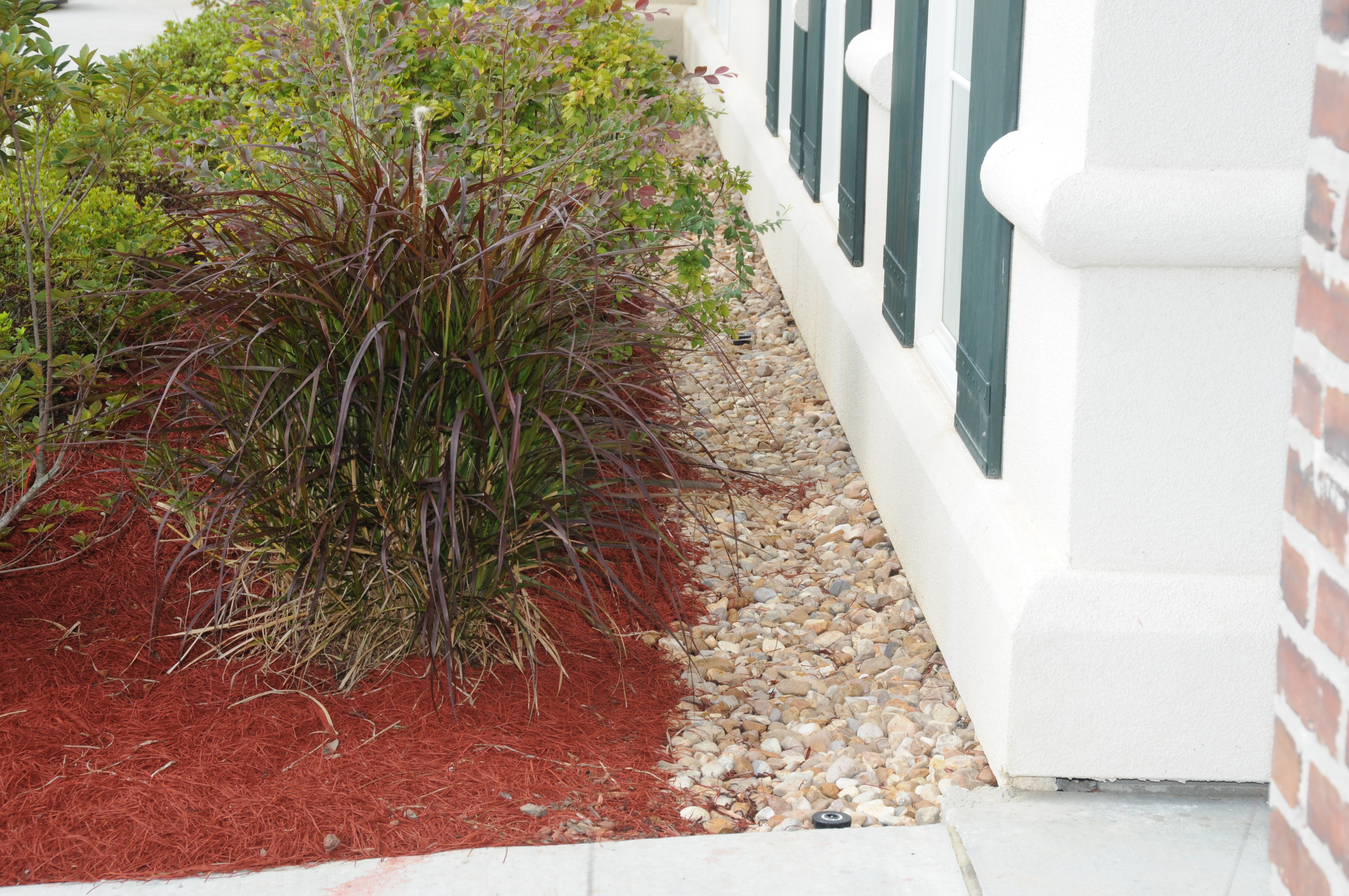 Maintaining a narrow, mulch-free strip along the foundation of a building helps reduce risks of termite infestation.