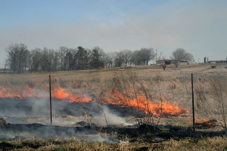 Prescribed Burning For Pasture Management Mississippi State University Extension Service