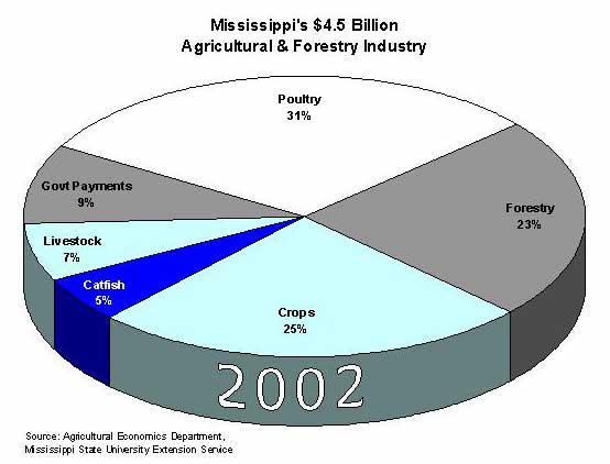 Mississippi's largest crops struggle in 2002  Mississippi State University  Extension Service
